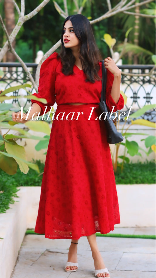 Elsie Schiffli  Skirt and Top  combo